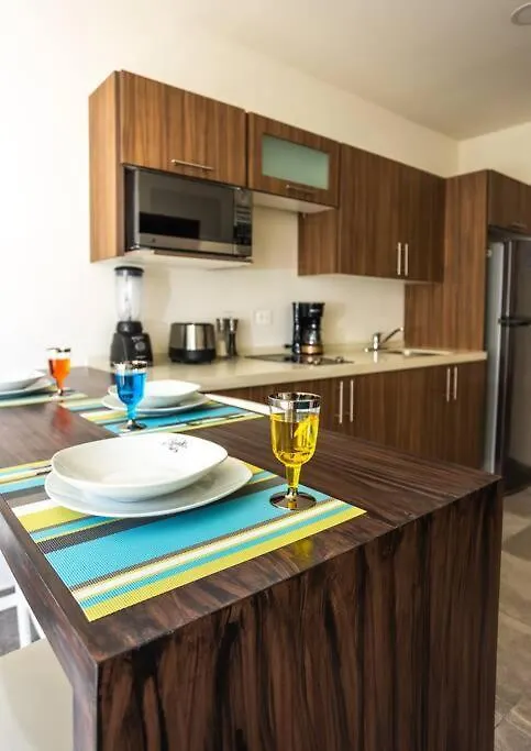 Suite De Lujo 1 Hab. Depto 203 Playa del Carmen 0*,